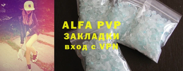 прущие грибы Абаза