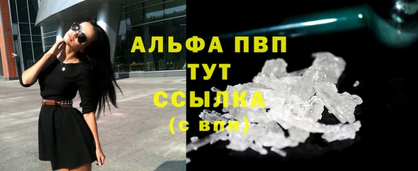 прущие грибы Абаза