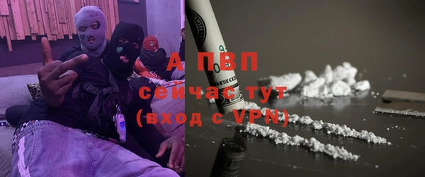 прущие грибы Абаза