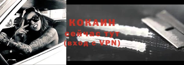 прущие грибы Абаза