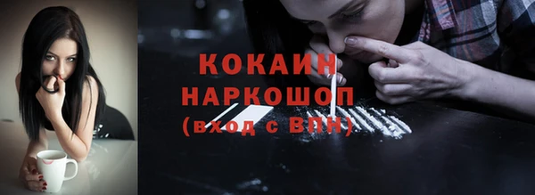 прущие грибы Абаза