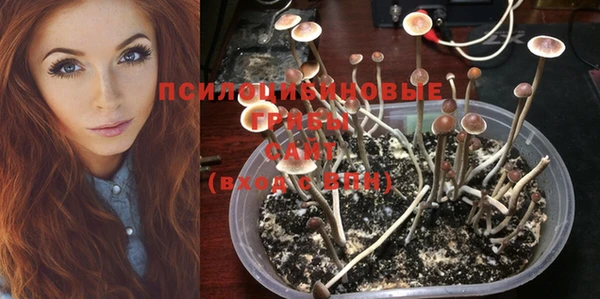 тгк Абдулино