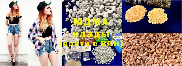 прущие грибы Абаза