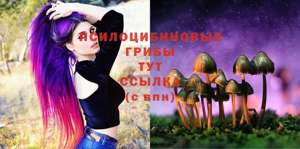 тгк Абдулино