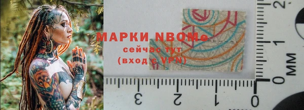 прущие грибы Абаза