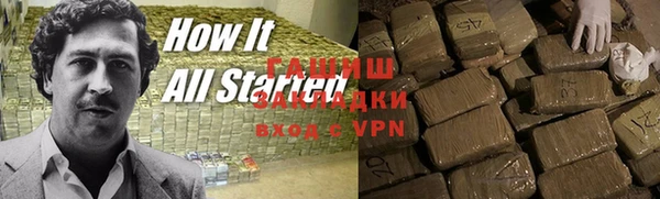 прущие грибы Абаза