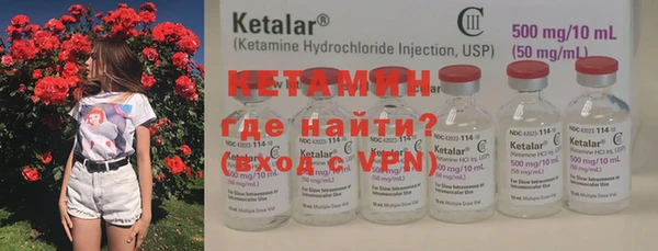 прущие грибы Абаза