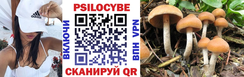 Галлюциногенные грибы прущие грибы Сурск